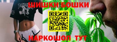 крисы Новозыбков