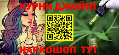 гидра Новодвинск