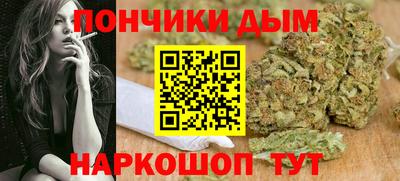 гидра Новодвинск