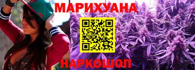 крисы Новозыбков