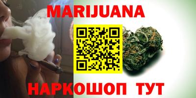 крисы Новозыбков