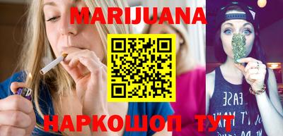 крисы Новозыбков