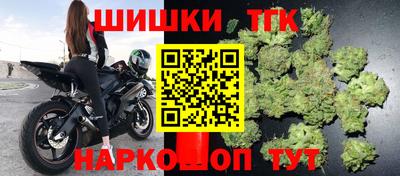 крисы Новозыбков