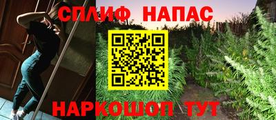 крисы Новозыбков